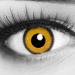 Funnylens 1 pair of colored yellow black crazy fun year contact lenses lunatic sun with edge and free lentil container.Perfect for Carnival Carnival and Fastnacht |Without strength 0.0 diopters 8.6 millimeters 14.00 millimeters 2.0