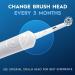Sensiclean Oral B Replacement Heads - 2 Pack - Buy Online on GoSupps.com