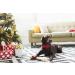 Shop Aring Pet Christmas Dog Collar - Soft Cotton Red Plaid Adjustable Band for Small & Medium Dogs | Flower Design & Metal Buckle - Buy Online on GoSupps.com