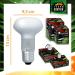 Terra Exotica 150W Heat Spot Radiator for Reptiles - Optimal Terrarium Lighting & Heat Lamp - Available in 25W to 150W - Buy Online on GoSupps.com