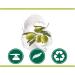 Myd o PALMOLIV 300 ml. Oliwkowe - Buy Online on GoSupps.com