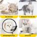 Adjustable Cat Protective Collar - Waterproof Postoperative Cone for Kittens & Cats | Leak Protection & Comfort - Buy Online on GoSupps.com