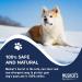 Musher's Secret Dog Paw Wax 454g (16 oz) - Moisturizing Balm for Dry Cracked Paws - All-Natural with Vitamin E - Buy Online on GoSupps.com
