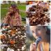 Adonis Keto Nut Bar Dark Cocoa Orange 16x35g - Delicious Low Carb Snack - Buy Online on GoSupps.com