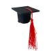 Graduation Hat Insert | 3D Doctoral Hat | Graduation Hat Hairpins Hat Inserts Graduation Accessories for Women Men Red