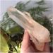 Natural Stone Garden Room Decoration | Healthy Aura | International Shipping | One Size - Buy Online on GoSupps.com