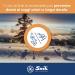 Snik FIRST CLASS CREAM COMBI 2in1 | Professional Face Sun Cream + Lip Lipstick | Mountain Skiing Extreme Sports | Organic with Carotene | SPF 50 High Protection UVA + UVB | Tube 15 ml - Buy Online on GoSupps.com