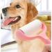 Extra Sticky Lint Rollers for Pet Hair - 60 Sheet Refills for Clothes Furniture & Carpets | Effective Fur Removal Tool - Buy Online on GoSupps.com