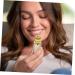 Shop Exquisite 0.1 oz Bottled Oil Bottles for Essential Oils | Bulk Small Perfume & Fragrance Sample Bottles - Buy Online on GoSupps.com