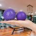 Uraqt Fascia Ball Set 2 Hedgehog Massage Balls for Muscle Tension Relief (Purple) | Perfect for Feet Back Neck & Hands - Buy Online on GoSupps.com