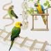 CAMITER 8 Packs Bird Toys Parrots Cage Toys Natural Wood Hanging Swing Shredding Chewing Perches Parrot Toy Parrot Bite Toy for Budgie Parakeet Cockatiel Macaw - Buy Online on GoSupps.com