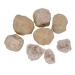 TRUSTTWO Unopened Natural Agate Geode Raw Quartz Mineral Energy Healing Crystal Rough Cluster Cave Gem Specimen Collection Bulk The New 1 PCS