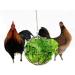 Fewao Stainless Rabbits Feeding Grass Ball Sphere Treat Hay Feeder Dispenser Hanging Ball Rabbit Chinchilla Guinea Pig Chicken Toys for Small Animals - Buy Online on GoSupps.com