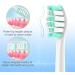 OralClass Electric Toothbrush Replacement Heads - 12 Pack Compatible with Sonicare, Medium to Soft Brush Refills for Philips Sonic Care Click on Handles - Buy Online on GoSupps.com