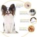 Professional Cordless Dog Clippers - Low Noise Grooming Kit for Dogs, Cats & Horses - Buy Online on GoSupps.com