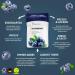 Wonder Toothpick Refill Pack - Sugar-Free Blueberry Flavored Toothpicks for Fresh Breath Nail Chewing & Smoking Cessation - Plastic-Free Chewing Gum Alternative - Buy Online on GoSupps.com