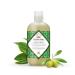 Nubian Heritage Olive Oil Shampoo for Dry Hair | Hydrate & Revive 12 Fl Oz - Buy Online on GoSupps.com