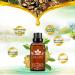AllbestAye Lymphatic Drainage Ginger Essential Oil - Natural Massage Therapy for Relaxation & Stress Relief - Buy Online on GoSupps.com