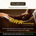 Buy TheraBlend Myofascial Cream 0.33 oz (6 Pack) | Optimal Pain Relief | Fast International Shipping - Buy Online on GoSupps.com