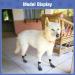 HOMIMP XL Dog Socks: Anti-Slip Paw Protector with Straps for Traction Control - Waterproof - Buy Online on GoSupps.com