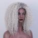 HBINGBING Synthetic Short Grey Wigs Afro Kinky Curly Wig for Women Brown Wigs High Temperature Fiber