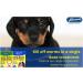 Small upto 6 kg - Johnsons One Dose Easy Wormer Tablet Worming Dogs Dewomer - Buy Online on GoSupps.com