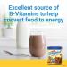 Carnation Breakfast Essentials Chocolate Powder - 17.7 oz Jar (Pack of 3) - Buy Online on GoSupps.com