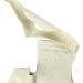 ALINZO Bunion Corrector - Orthotic Bunion Splint for Bunions - Pedicure Sock Straightener - 1 Pair - Buy Online on GoSupps.com