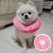 1PCS Cat Cone Collar Soft Cotton Adjustable Cat Recovery Collar Promotes Quick Healing Protects from Trauma Suitable for Pet Cat Home - Buy Online on GoSupps.com