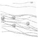 HOMSFOU 5pcs Wedding Bouquet Sticks for Flower Arrangements Floral Twig Spray Curly Tall Tree Pick Filler Artificial Embellishing Stems Artificial Berry Twig Berries Plastic Plant Holly Silver 45.00X5.00X2.00CM - Buy Online on GoSupps.com