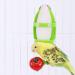 2 Pcs Bird Food Container Plastic Cuddle Bone Feeding Racks Vegetable Fruit Holder Hanging Feeder Parrot Cage Stands Accessories for Bird Parrot - Buy Online on GoSupps.com