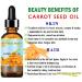 CARROT SEED OIL 100 % Natural Cold Pressed Carrier Oil. 1 Fl.oz.- 30 ml. Skin Body Hair and Lip Care. "One of the best oils to rejuvenate and regenerate skin tissues. by Botanical Beauty - Buy Online on GoSupps.com