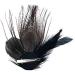 Peacock Feathers Hair Clip Natural Feather Fascinator Barrette with Sparking Rhinestone Peacock Gifts Hair Accessories for Women - Buy Online on GoSupps.com