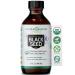 Black Seed Oil - Premium Organic Cold-Pressed Cumin Nigella Sativa (16 oz) - for Immunity Support, Joints, Digestion, Hair & Skin - Extra Virgin, Gluten-Free, Non-GMO & Vegan with Omega 3,6, & 9