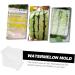 LIFKICH Watermelon Shaping Fruit Transparent Strawberry Forming Shaping Mould Vegetable Growth Mold Tool Square Watermelon 15x15cm Transparent - Buy Online on GoSupps.com
