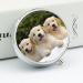 Travel Pill Box with Golden Retriever Puppies | 3 Compartment Portable Pill Organizer for Handbag & Pocket - Buy Online on GoSupps.com