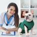 EMUST Dog Recovery Suit After Surgery Wear for Dogs Male Female Pet E-Collars Alternative Bandages Professional Dog Onesie for Surgery for Abdominal Wounds Weaning&Skin DiseasesNavy&Green Strip/XL XL Navy&Green Strip - Buy Online on GoSupps.com