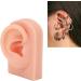 Flexible Reusable Human Ear Model - Soft & Easy to Use for Headphones Display and Acupuncture Training (Light Complexion) - Buy Online on GoSupps.com