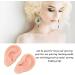 Flexible Silicone Ear Model for Piercing | Left & Right Ear Mould in Light Skin Color - Buy Online on GoSupps.com