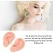 Silicone Ear Model - Simulation Pair for Piercing Practice (Light Skin Color) - Buy Online on GoSupps.com
