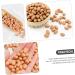 Ciieeo 1 Decorative Nut Model Simulation Fake Fruit Faux Groundnut Kernels Food Decor Simulation Nut Prop Fake Groundnut Kernels Toys Japanese Grill Yakitori Peanut Soy Pvc - Buy Online on GoSupps.com