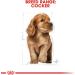 Royal Canin Dog Food Cocker Puppy Complete 3KG - Buy Online on GoSupps.com