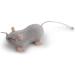 Petlinks Refillable Catnip Toys for Cats & Kittens - Set of 3 Fun & Stimulating Play - Multiple Styles in White, Brown, Grey - Buy Online on GoSupps.com