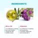 Derma B Daily Moisture Body Lotion 400ml - Non-Greasy Long-Lasting Moisturizer for Dry & Sensitive Skin - Infused with Olive Oil, Allantoin & Panthenol - Woody & Powdery Scented Kbeauty Skincare - Buy Online on GoSupps.com