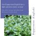 Absolute Aromas Peppermint English Essential Oil 30ml - 100% Pure Natural Vegan | Diffuser & Aromatherapy Blend - Buy Online on GoSupps.com