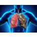 Sigmaceutical Lung Cleanse for Smokers - Respiratory Formula for Healthy Lungs - 60 Capsules - Buy Online on GoSupps.com