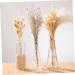 Cabilock Natural Dried Flowers 30 Pcs Natural Artificial Flower Decorative Artificial Flower As Shownx2pcs mediumx2pcs - Buy Online on GoSupps.com