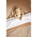 Meyco Baby Muslin Diapers - Cheetah Taupe - Soft & Absorbent 70x70cm - Pack of 3 - International Shipping Available - Buy Online on GoSupps.com