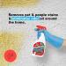 Urine Gone ProClean Stain Remover & Odor Eliminator - Probiotic Multi Surface Cleaner 20 Fl Oz (3 Pack) - Buy Online on GoSupps.com