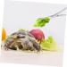 SEWOART Reptile Feeding Clip Lizard Stuff Reptile Tools Gecko Tool Stainless Steel Silver - Buy Online on GoSupps.com